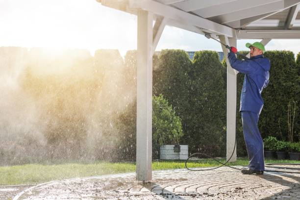 Best Driveway Pressure Washing  in Princeton Meadows, NJ